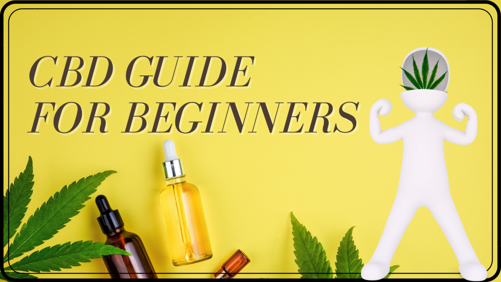 A Beginner's Guide to CBD